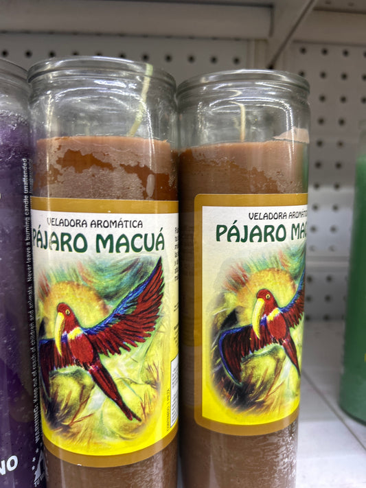 Pajaro Macua